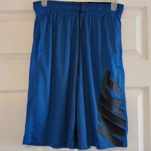 Nike Dri-Fit Shorts  